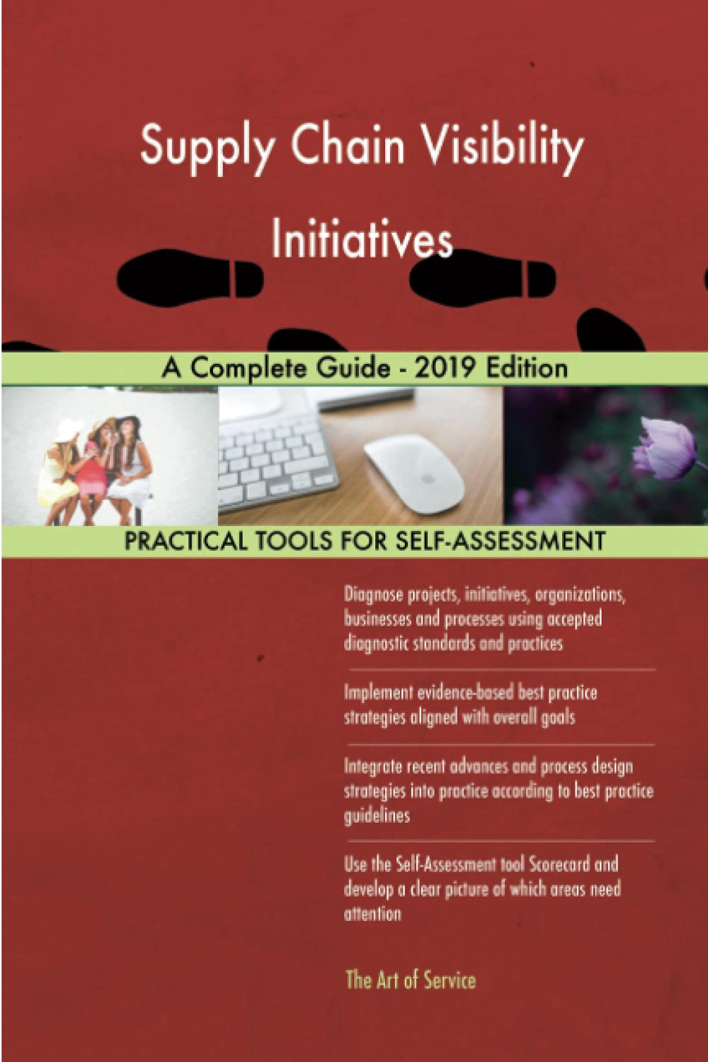 supply chain visibility initiatives a guide 2019 edition  gerardus blokdyk 0655836705, 9780655836704