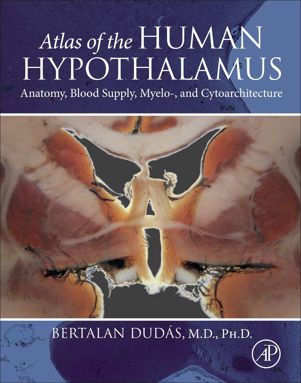 atlas of the human hypothalamus anatomy blood supply myelo and cytoarchitecture 1st edition dudas m.d. 