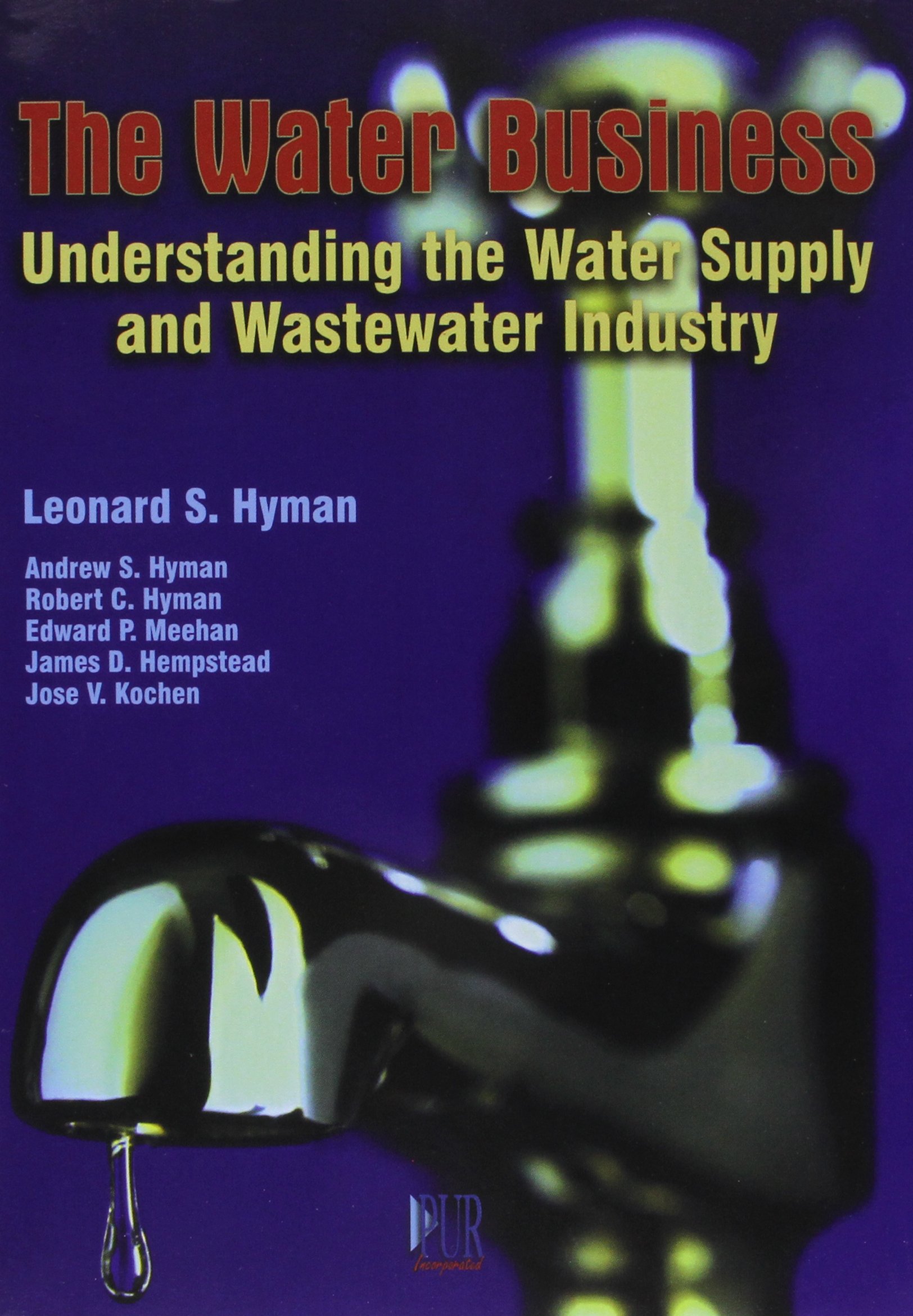 the water business understanding the water supply and wastewater industry 1st edition leonard s. hyman