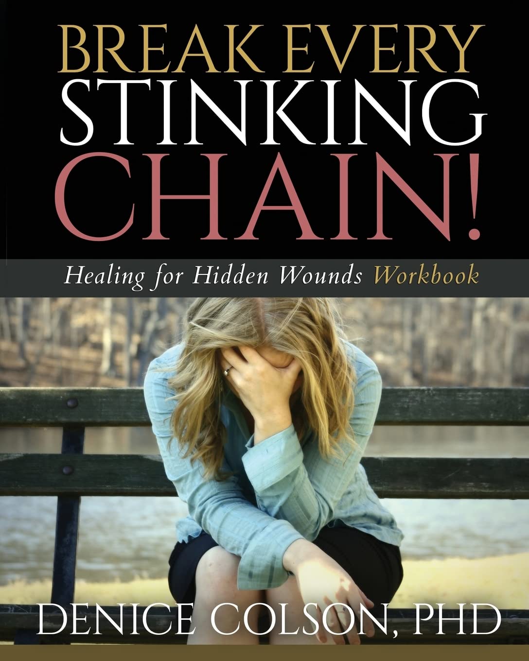 break every stinking chain workbook healing for hidden wounds  colson phd, r denice 1626768846, 9781626768840