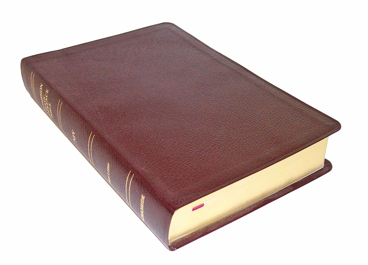 thompson chain reference bible regular size niv bonded leather thumbed edition frank charles thompson
