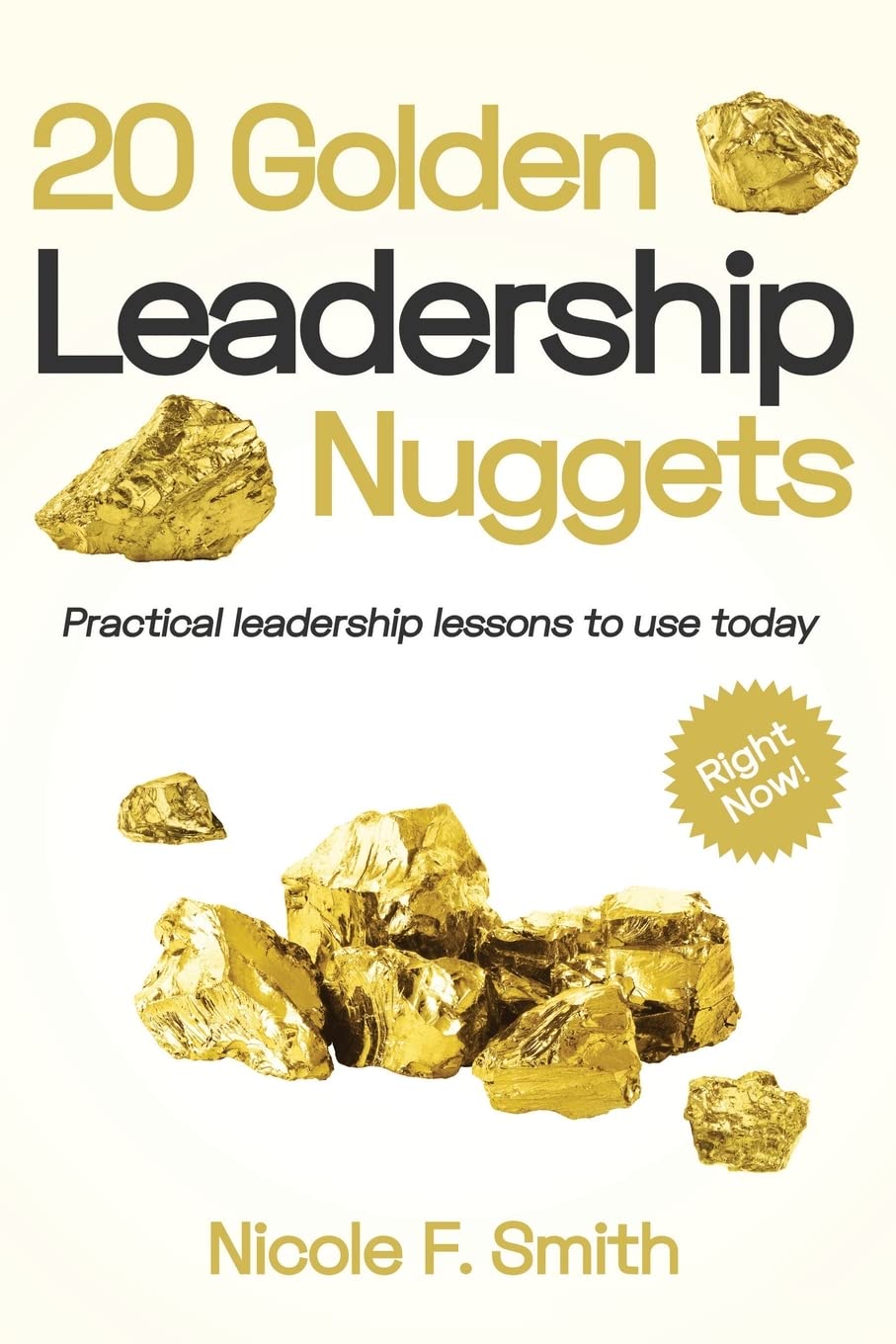 20 golden leadership nuggets practical leadership lessons to use today right now  smith, nicole f.