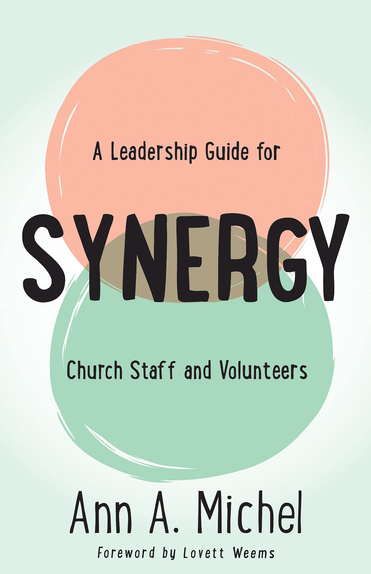 synergy a leadership guide for church staff and volunteers  michel, ann a. 1501832557, 9781501832550