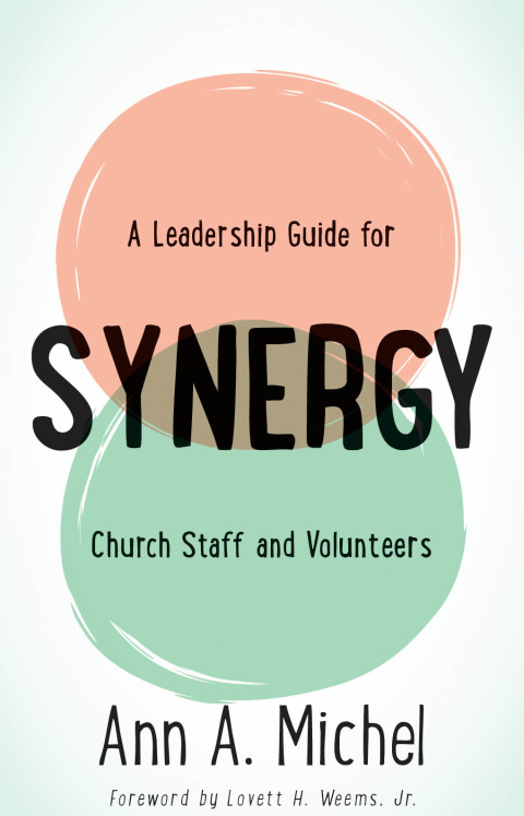 synergy a leadership guide for church staff and volunteers 3rd edition michel, ann a. 1501832565,