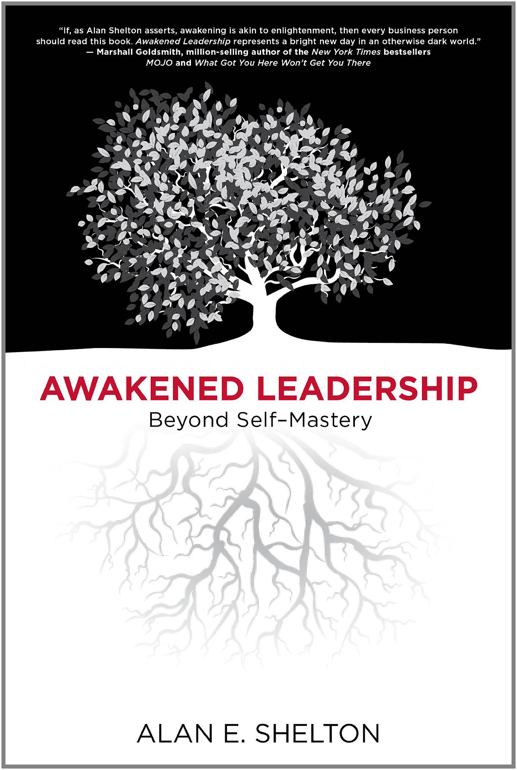 awakened leadership beyond self mastery  alan e. shelton 098471250x, 9780984712502