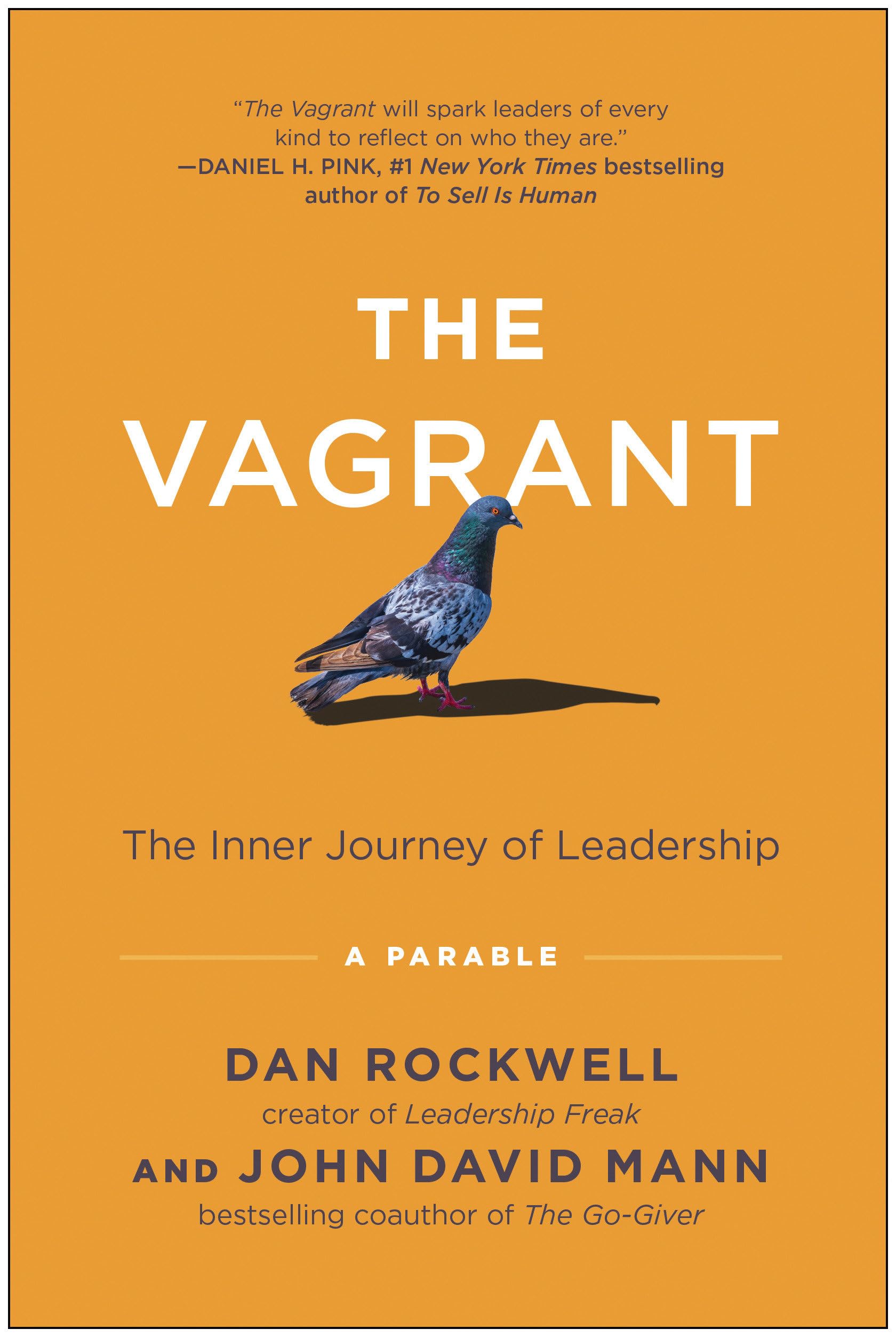 the vagrant the inner journey of leadership a parable  rockwell, dan, mann, john david 163774370x,