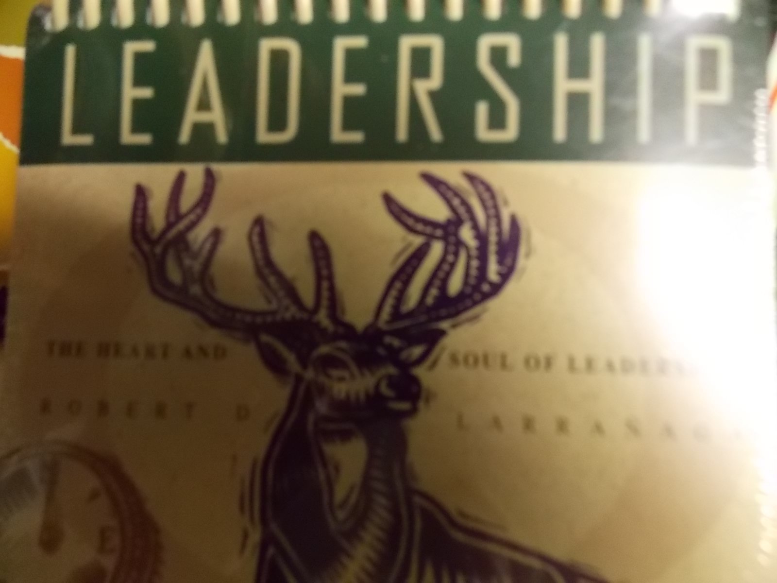 leadership standard size daybrightener  larranaga, robert d. 5504400473, 9785504400471