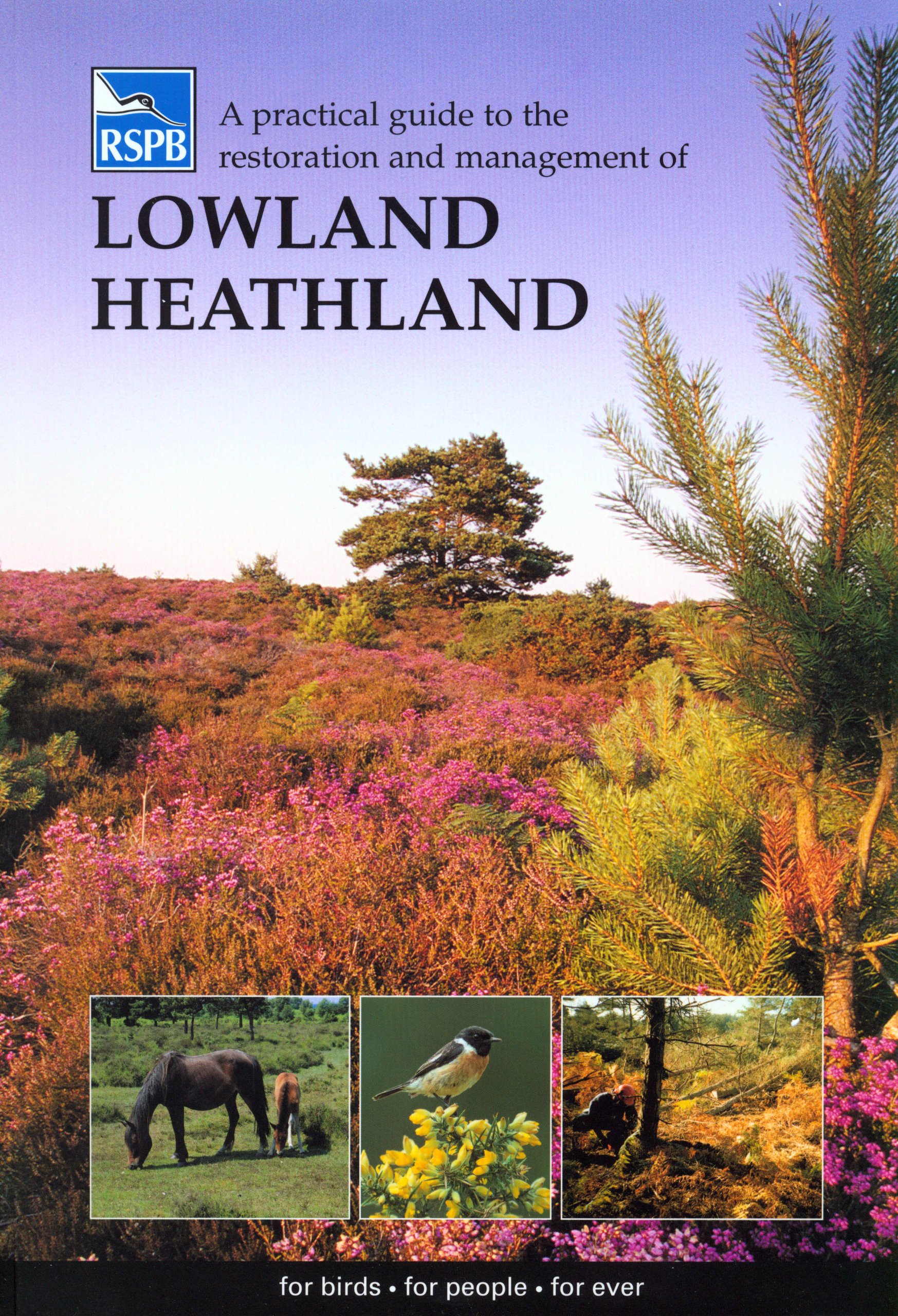 a practical guide to the restoration and management of lowland heathland  john c day, nigel symes 1901930386,
