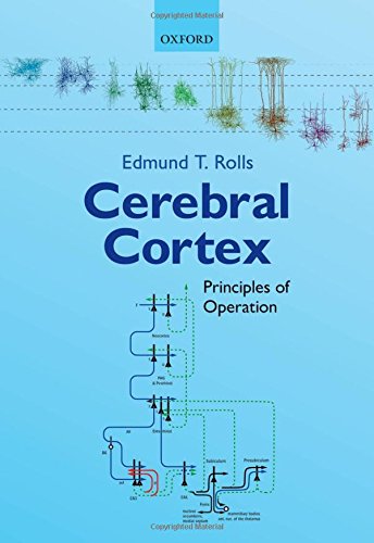 cerebral cortex principles of operation 1st edition rolls, edmund t. 0198784856, 9780198784852