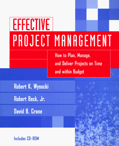 effective project management how to plan manage and deliver projects on time and within budget 1st edition