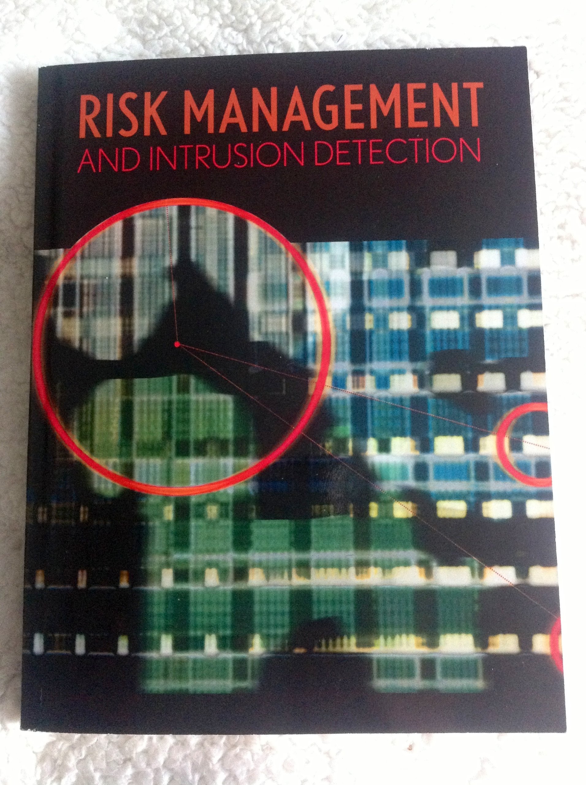 risk management and intrusion detection raymond r. panko 0536207720, 9780536207722