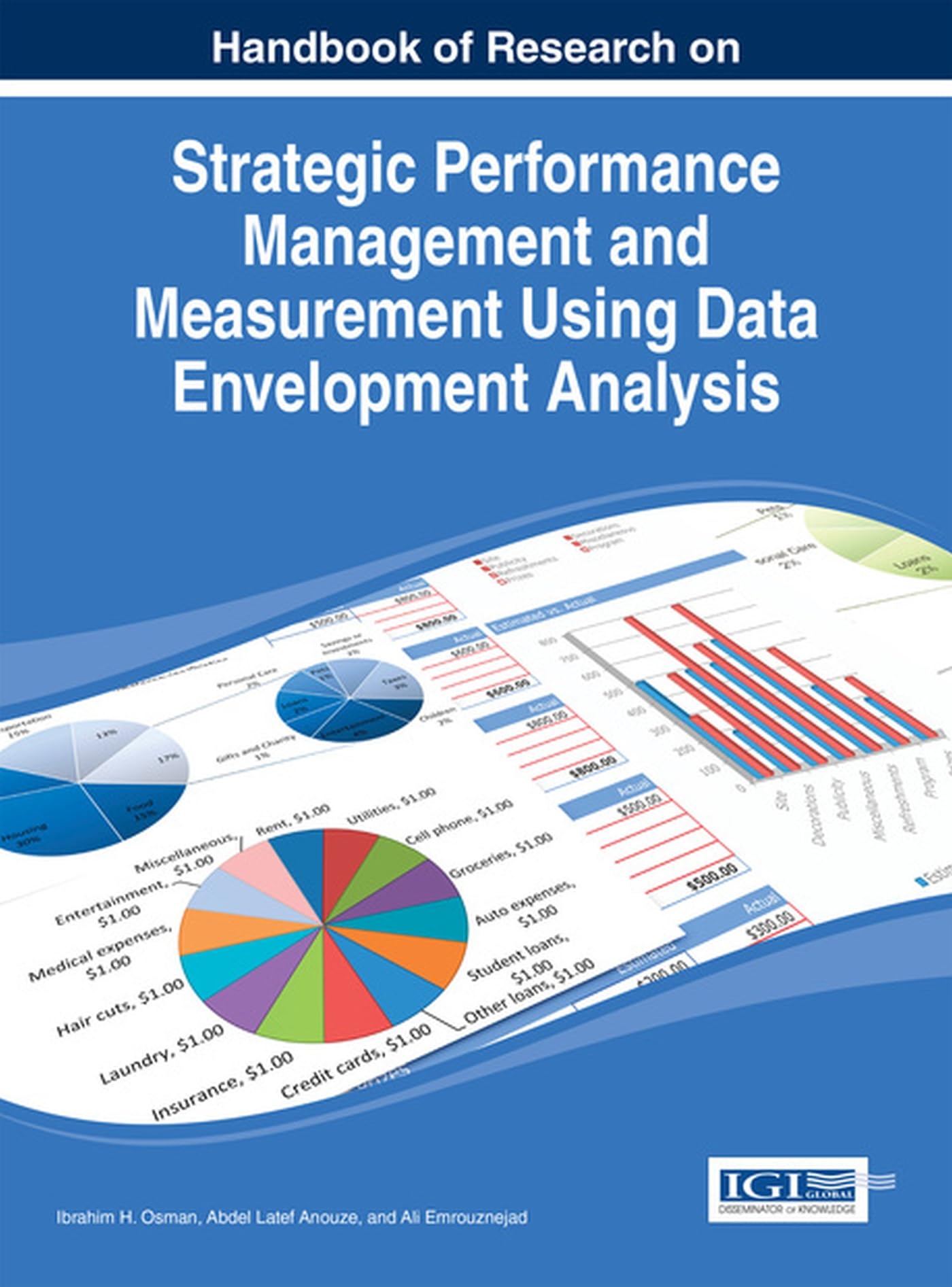 strategic performance management and measurement using data envelopment analysis 1st edition ibrahim osman