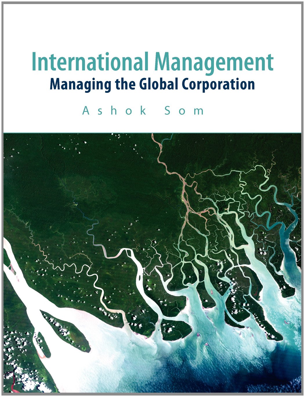 international management 1st edition ashok som 0077117379, 9780077117375