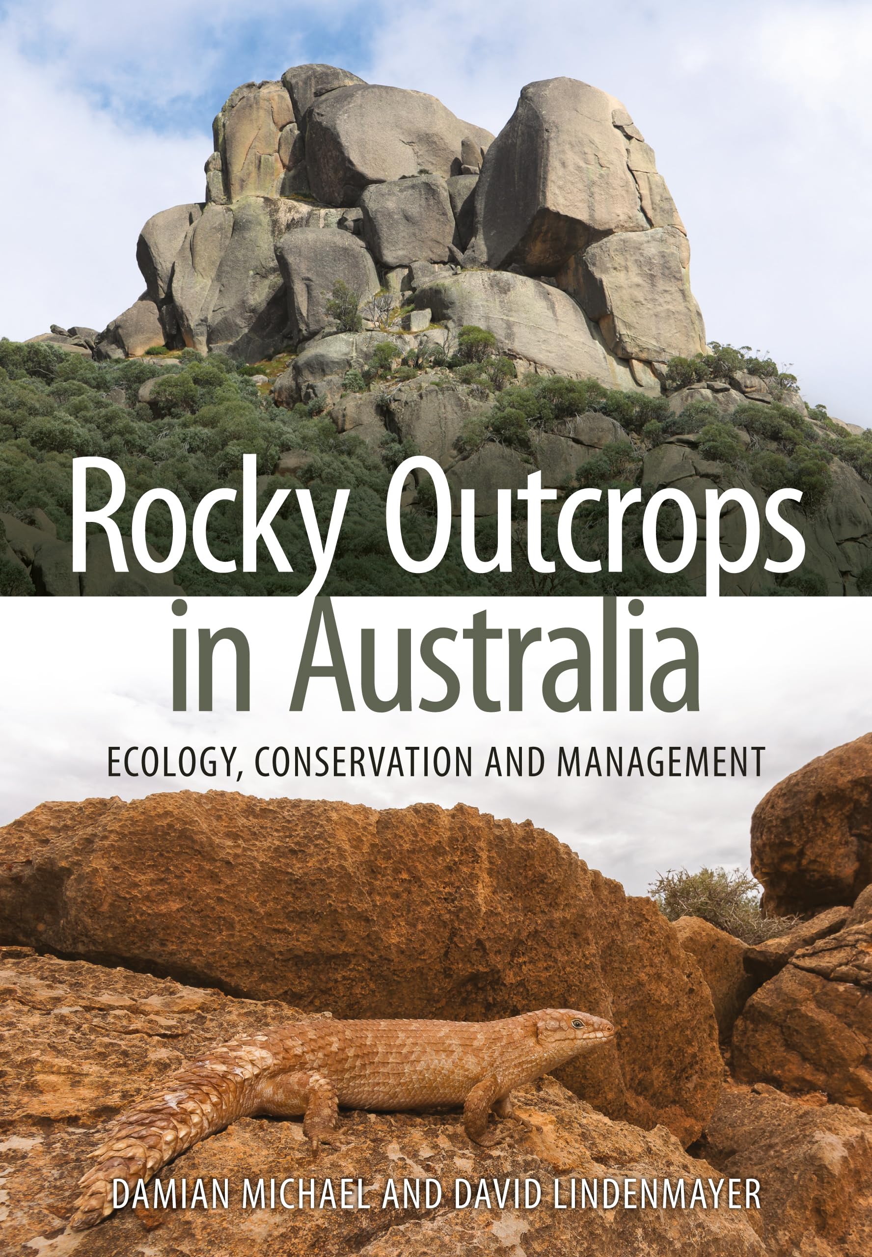 rocky outcrops in australia ecology conservation and management 1st edition michael, damian, lindenmayer,