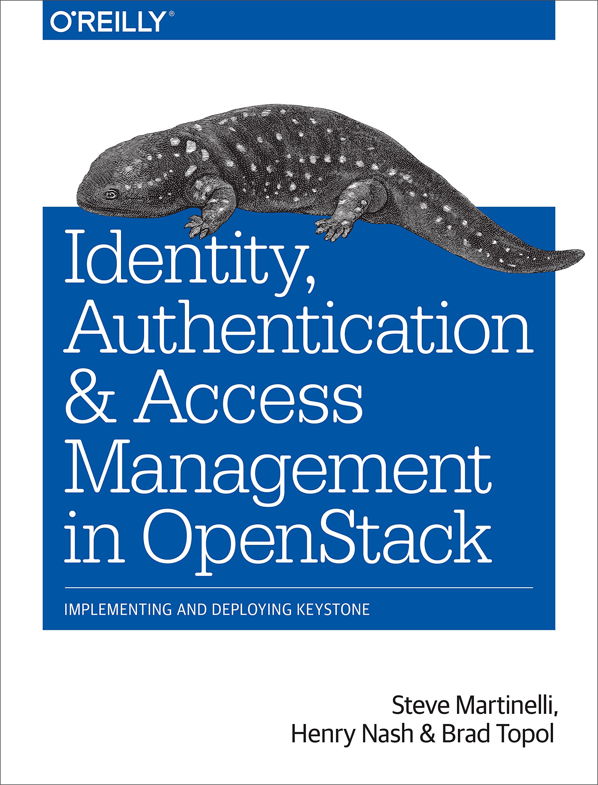 identity authentication and access management in openstack implementing and deploying keystone 1st edition