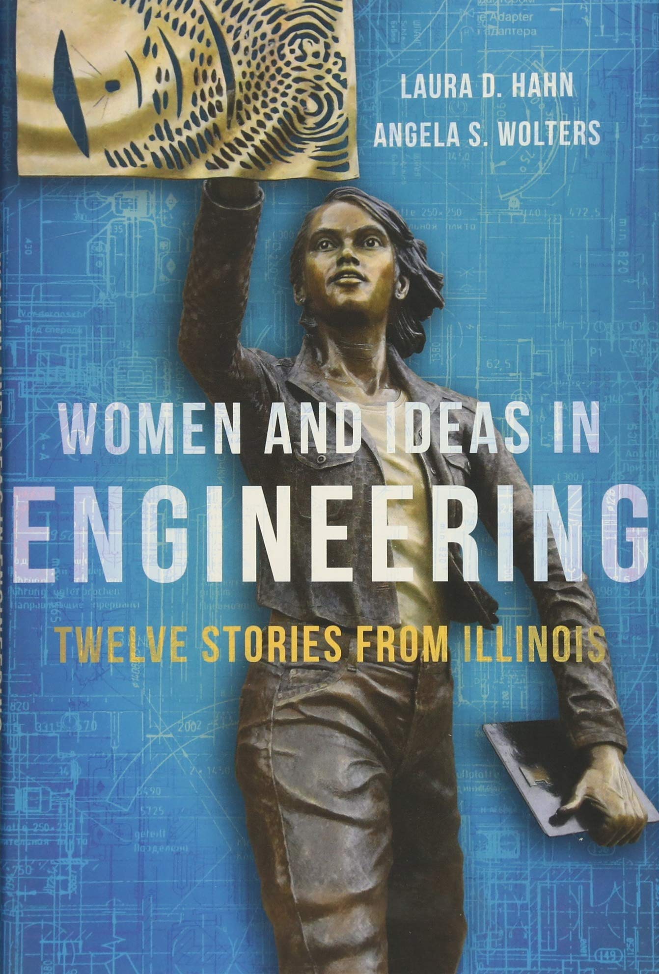 women and ideas in engineering twelve stories from illinois 1st edition hahn, laura d., wolters, angela s.