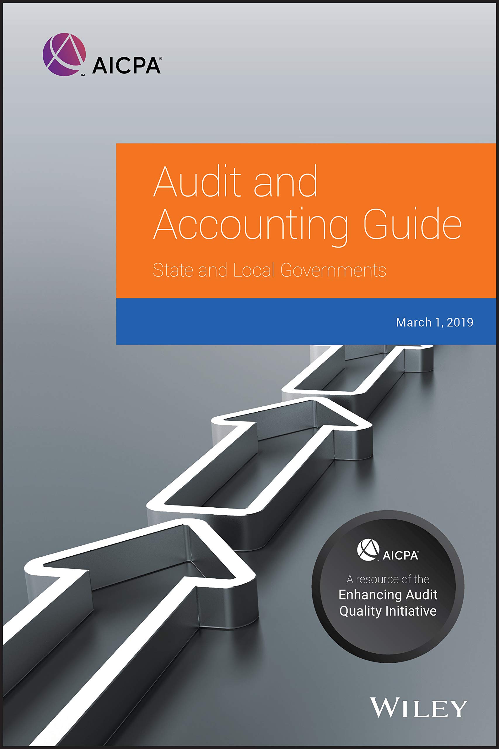 audit and accounting guide state and local governments 2019 1st edition aicpa 1948306646, 9781948306645