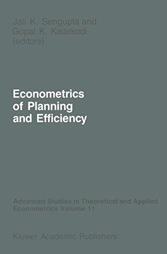 econometrics of planning and efficiency 1988 edition jati k. sengupta, j. k. sengupta, gopal k. kadekodi