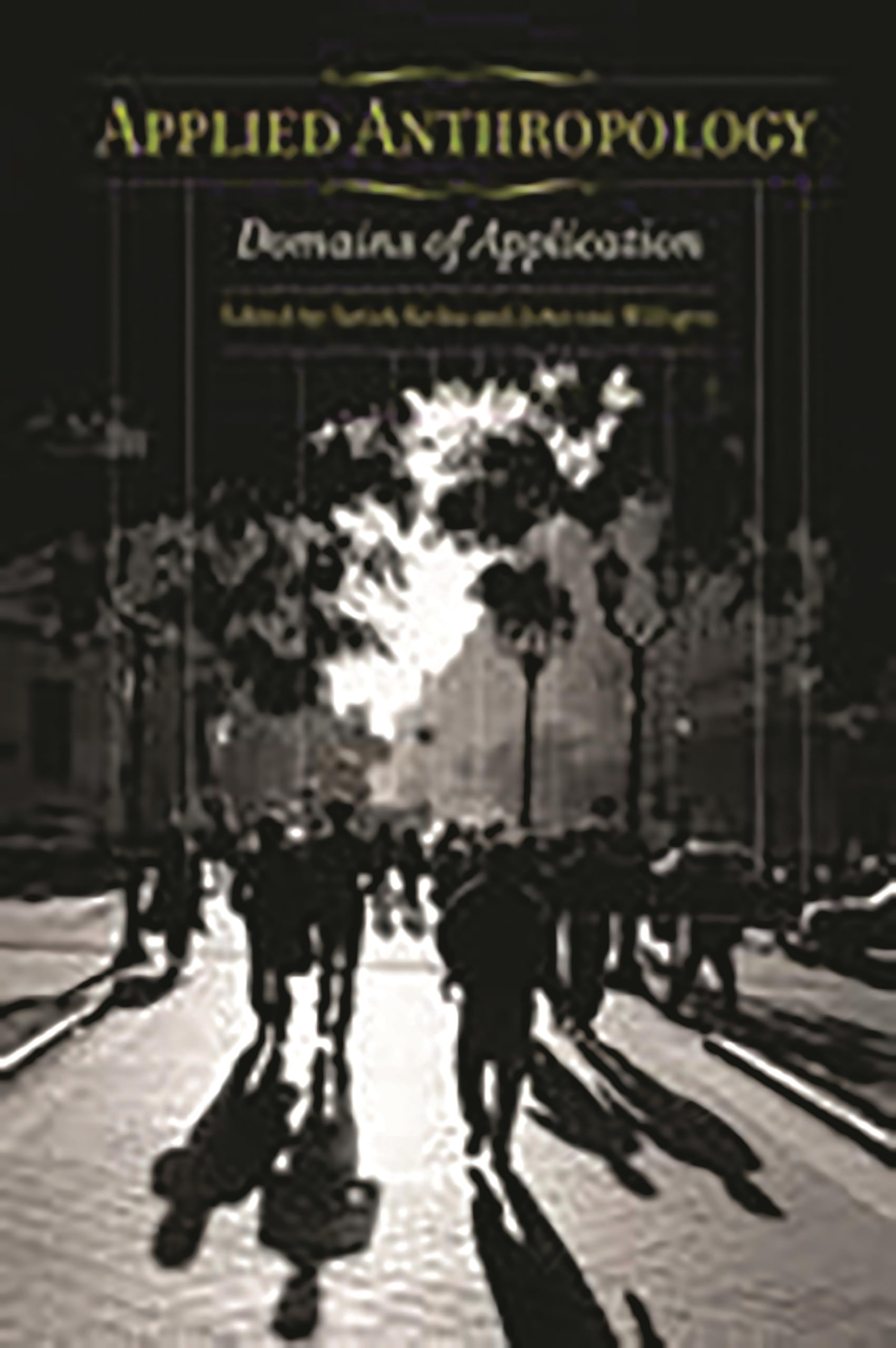 applied anthropology domains of application 1st edition kedia, satish, willigen, john van 0275978427,