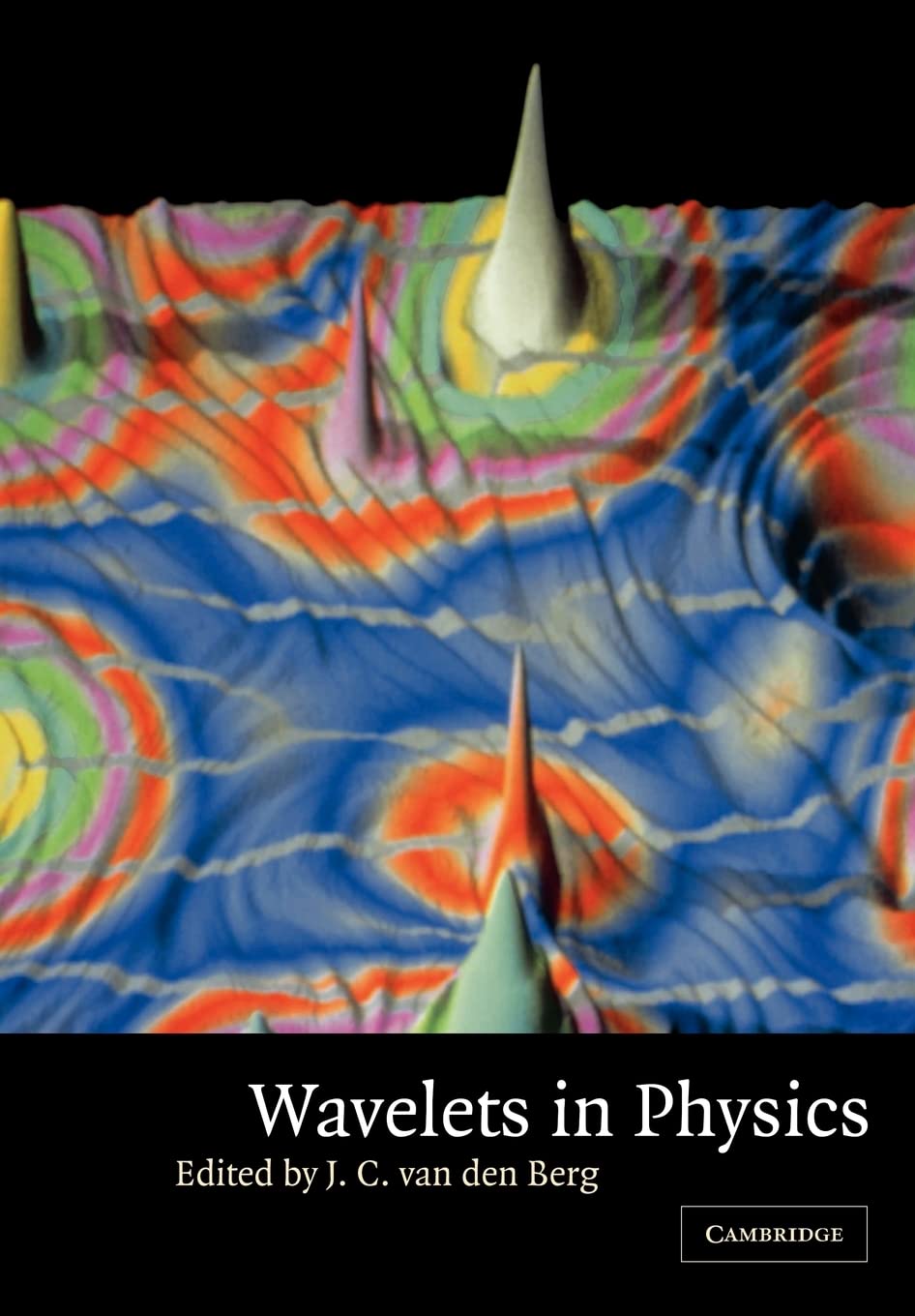 wavelets in physics 2nd edition van den berg, j. c. 0521533538, 9780521533539