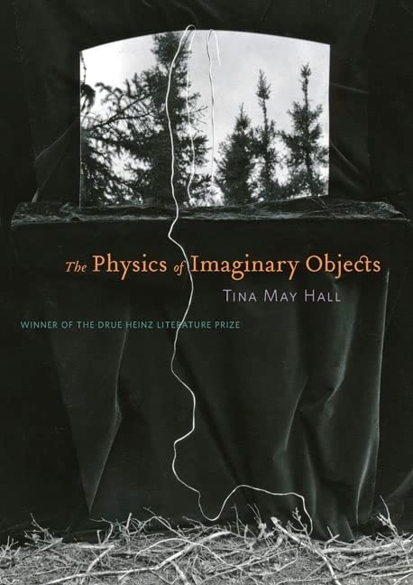 the physics of imaginary objects 1st edition hall, tina may 0822961555, 9780822961550