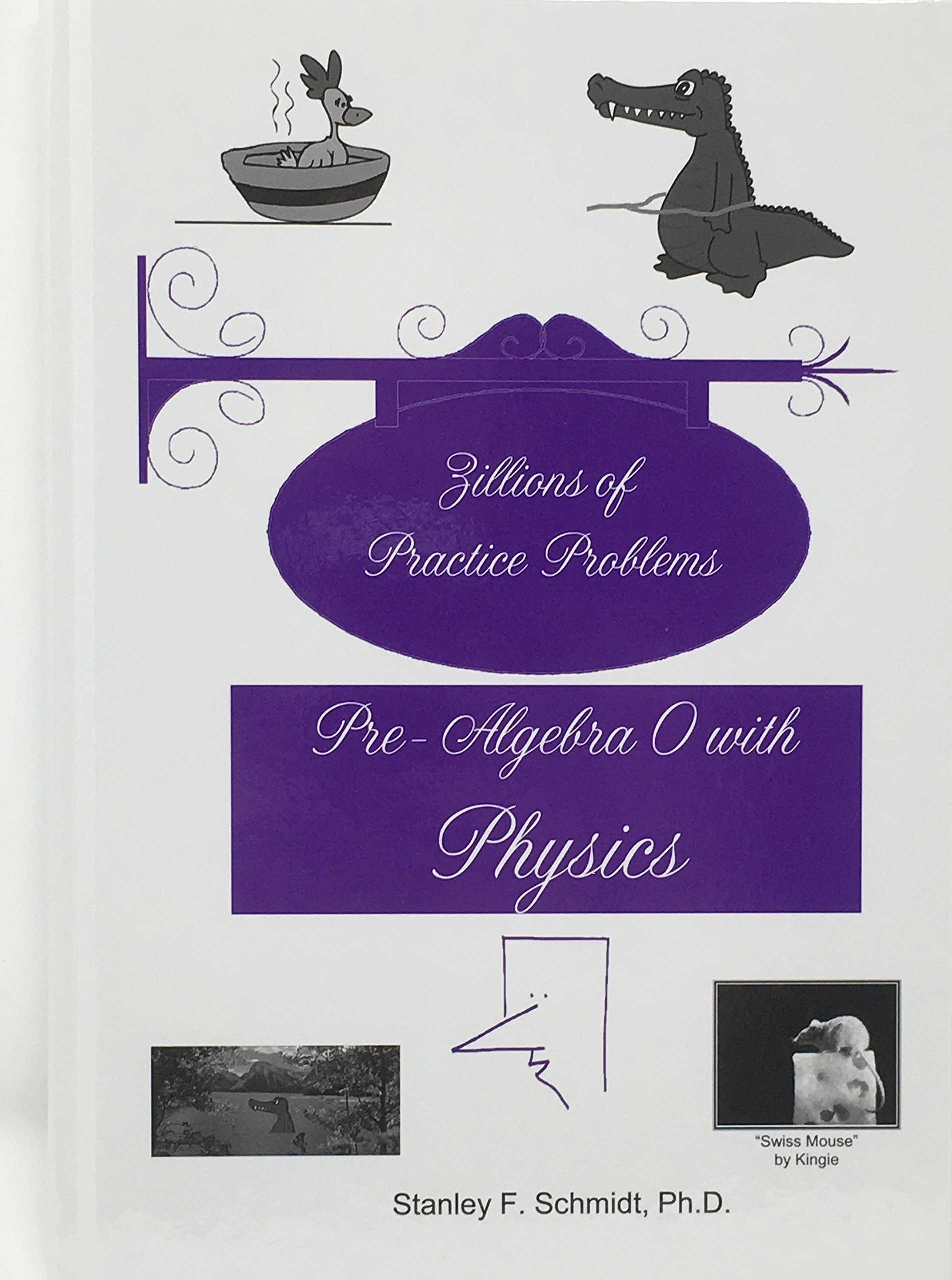 life of fred zillions of practice problems pre algebra 0 with physics 1st edition stanley f. schmidt