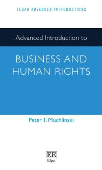 advanced introduction to business and human rights 1st edition peter t. muchlinski 1789901278, 9781789901276