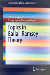 topics in gallai ramsey theory 1st edition colton magnant, pouria salehi nowbandegani 3030488969,