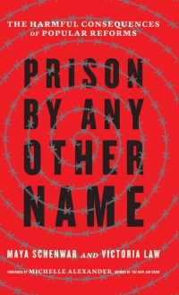 prison by any other name 1st edition maya schenwar, victoria law 1620973103, 9781620973103