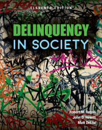 delinquency in society 11th edition robert m. regoli, john d. hewitt, matt delisi 1284208451, 9781284208450