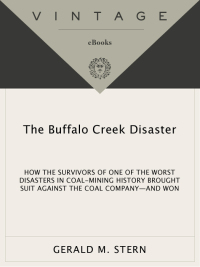 the buffalo creek disaster 1st edition gerald m. stern 0394723430, 9780394723433