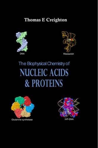 the biophysical chemistry of nucleic acids and proteins  thomas e. creighton 0956478115, 9780956478115