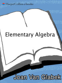 elementary algebra 1st edition joan van glabek 0062115022, 9780062115027