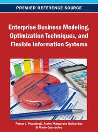 enterprise business modeling optimization techniques and flexible information systems 1st edition petraq