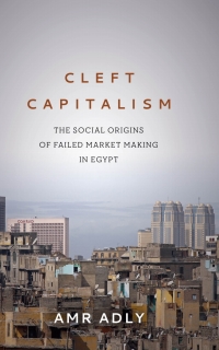 cleft capitalism 1st edition amr adly 1503612201, 150361221x, 9781503612204, 9781503612211