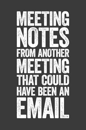 meeting notes from another meeting that could have been an email 6 x 9 blank lined notebook journal funny