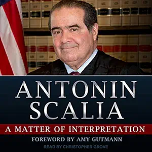a matter of interpretation federal courts and the law 1st edition antonin scalia ,amy gutmann editor foreword