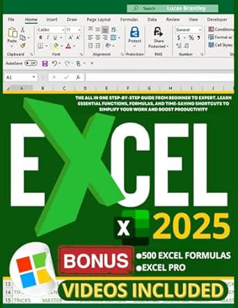 excel 2025 the all in one step by step guide from beginner to expert learn essential functions formulas and
