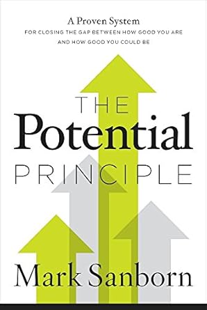 the potential principle paperback sanborn mark 1st edition mark sanborn 1404106642, 978-1404106642