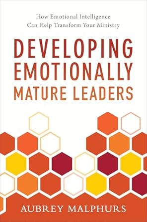 developing emotionally mature leaders how emotional intelligence can help transform your ministry 1st edition