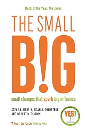 small big 1st edition noah goldstein ,professor robert b cialdini ,steve j martin 1781252750, 978-1781252758