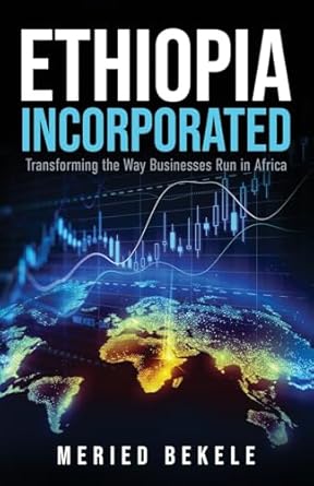 ethiopia incorporated transforming the way businesses run in africa 1st edition meried bekele 1956464557,