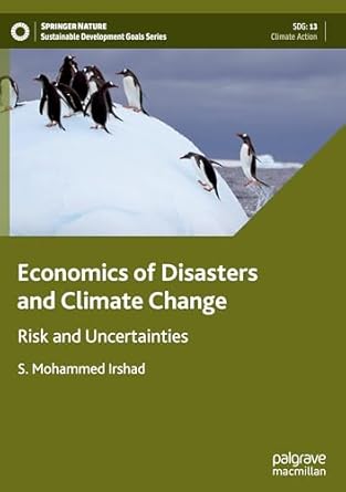 economics of disasters and climate change risk and uncertainties 2024th edition s mohammed irshad 9819794145,