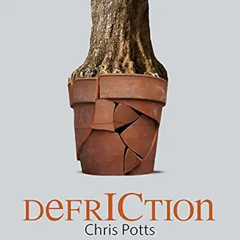 defriction unleashing your enterprise to create value from change fruition book 3 1st edition chris potts