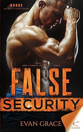 false security 1st edition evan grace 1640343814, 978-1640343818