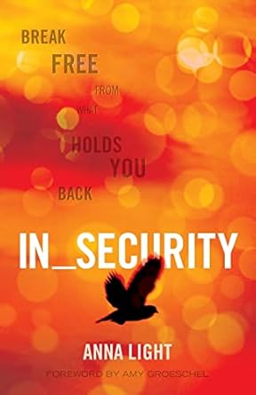 in security break free from what holds you back 1st edition anna light ,amy groeschel 0988209640,