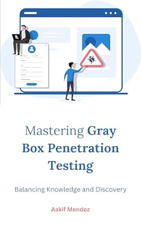 mastering gray box penetration testing balancing knowledge and discovery 1st edition aakif mendez b0cswmjqs4