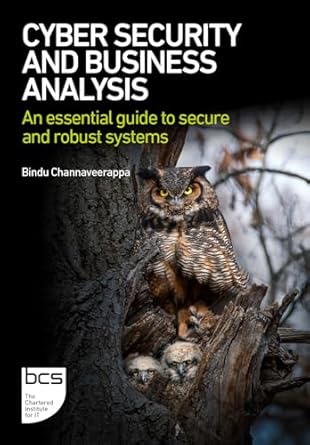 cyber security and business analysis an essential guide to secure and robust systems 1st edition bindu