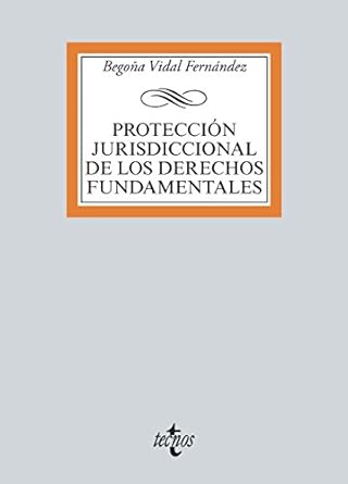 proteccion jurisdiccional de los derechos fundamentales 1st edition begona vidal fernandez b01m3sk7te