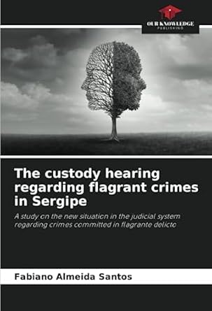 the custody hearing regarding flagrant crimes in sergipe a study on the new situation in the judicial system